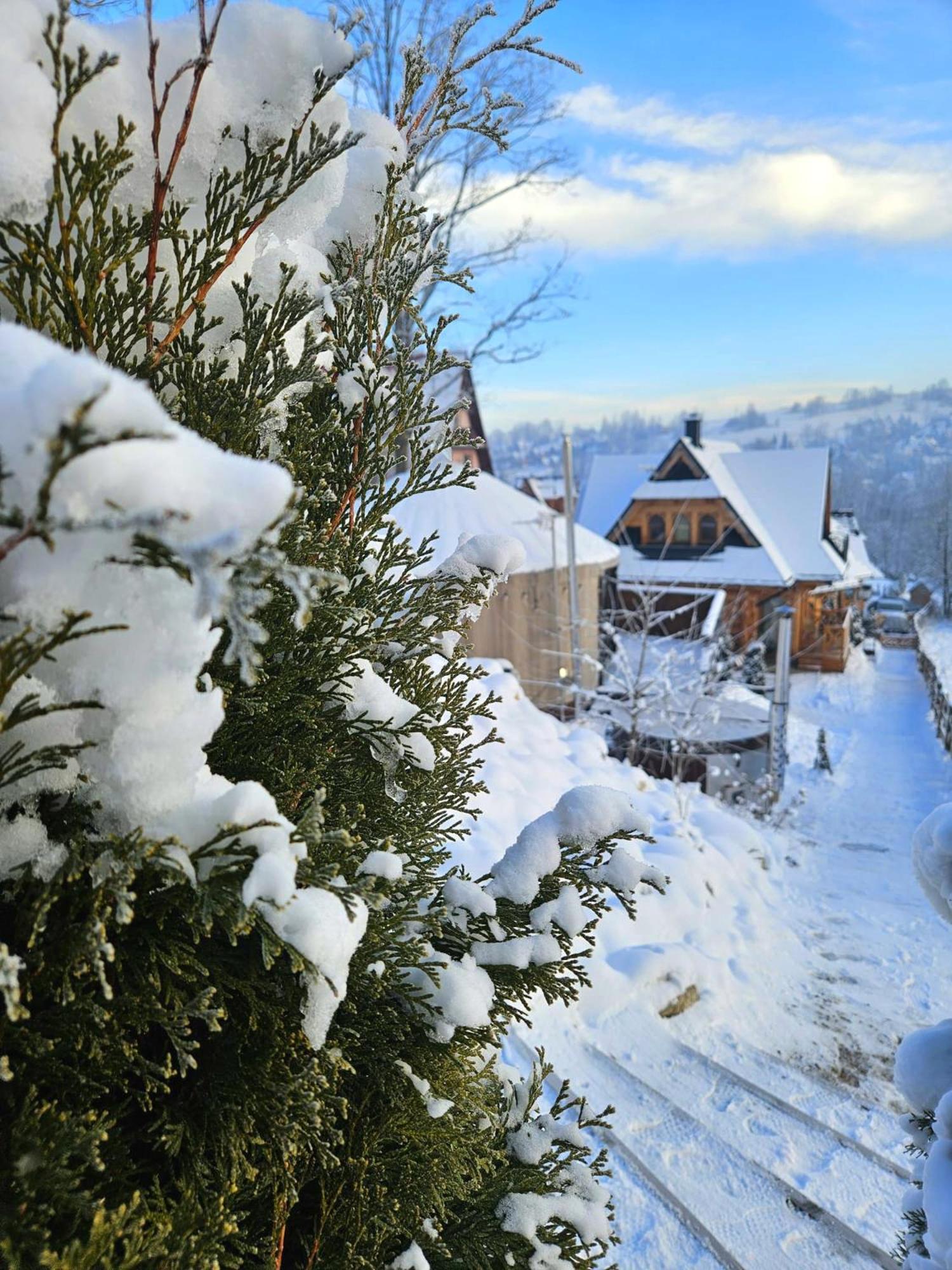 Goralska Chatka 2 Highland Cottage - Split Ac, Jacuzzi, Sauna, Private Parking, Mountains View, Garden, Zakopane Ngoại thất bức ảnh